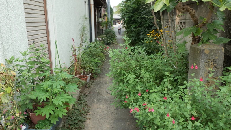 秩父市街地道標石の画像