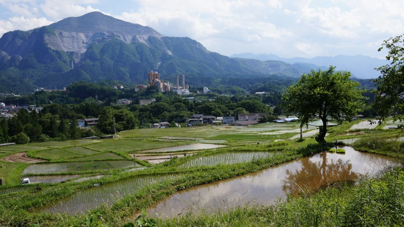 寺坂棚田と武甲山の画像