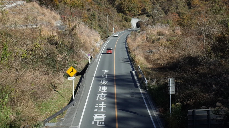皆野寄居バイパスを山上から撮影した写真。渋滞のないまっすぐな道路が山間を走り、周囲の緑とともに快適な走行環境が伝わる