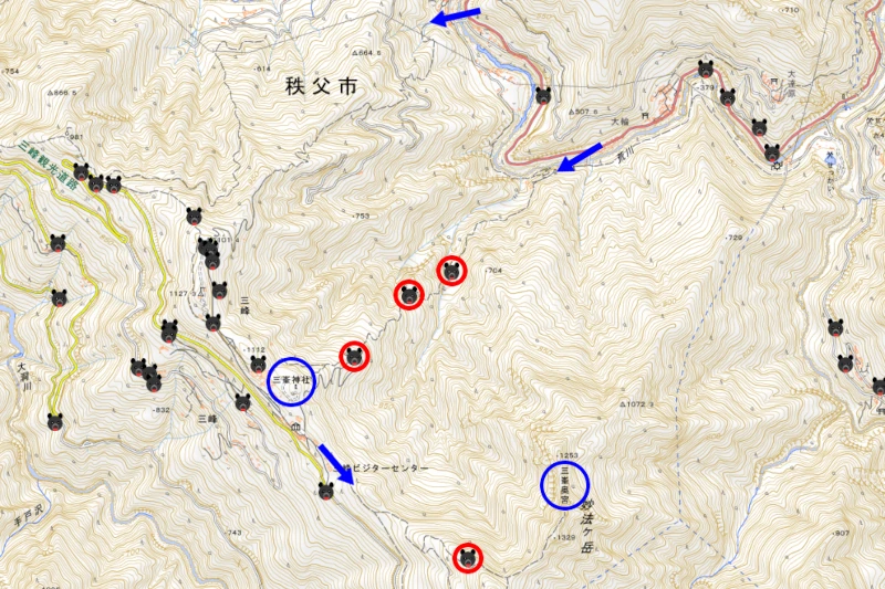 三峯神社の地理院地図