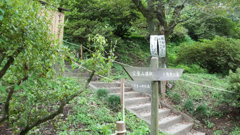 宝登山神社参拝の日奥宮参道の画像