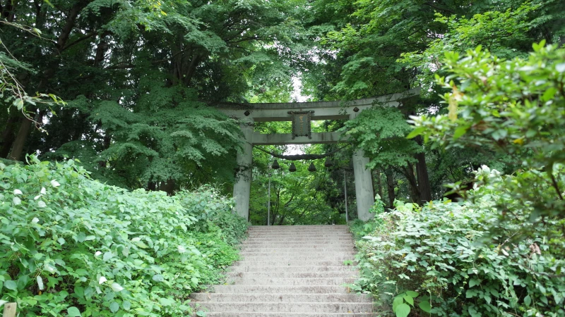 宝登山神社参拝の日奥宮鳥居の画像