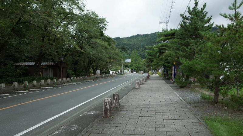 宝登山神社参拝の日参道の画像