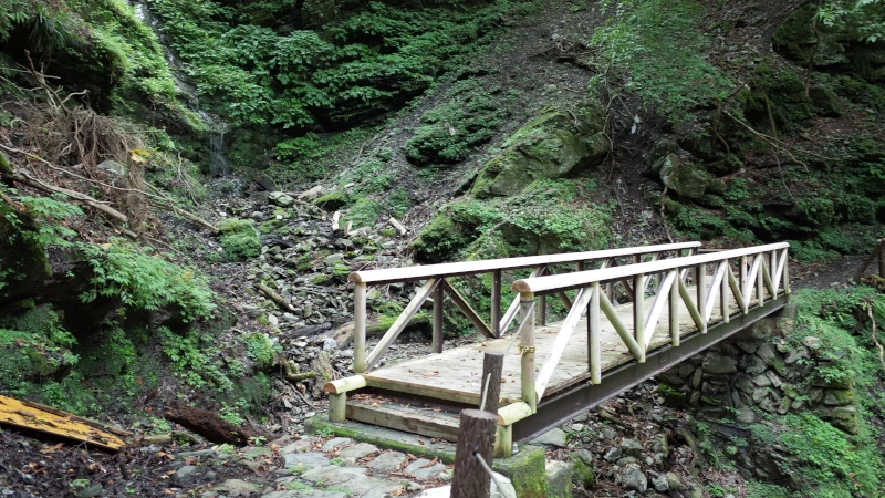 三峯神社参拝の日表参道木橋の画像