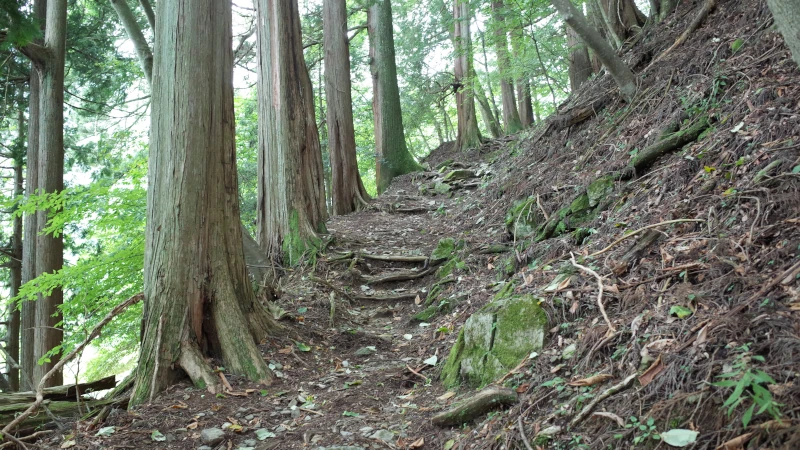 三峯神社参拝の日表参道状況の画像