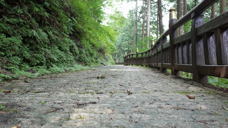 三峯神社参拝の日参道石畳の画像