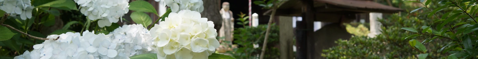 秩父札所の第33番札所となっている、延命山菊水寺の山門画像