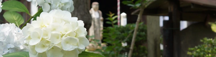 秩父札所の第33番札所となっている、延命山菊水寺の山門モバイル用画像