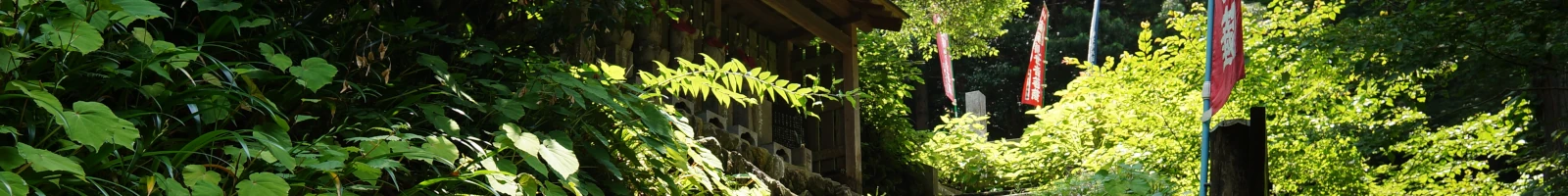 秩父札所の第34番札所となっている、日沢山水潜寺の山門画像