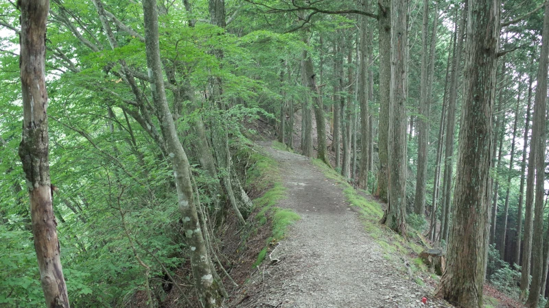 三峯神社参拝の日奥宮参道尾根の画像