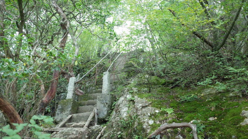 三峯神社参拝の日奥宮参道階段の画像