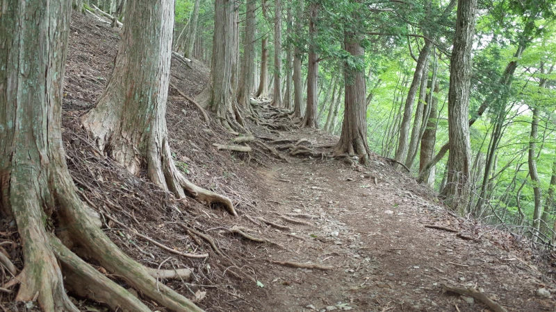 三峯神社参拝の日奥宮参道状況の画像