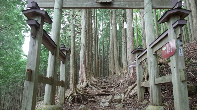 三峯神社参拝の日奥宮参道二の鳥居の画像