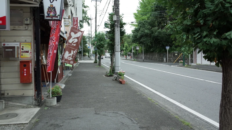 秩父神社参拝の日秩父市街の画像