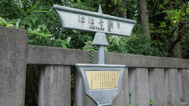 秩父神社参拝の日ははそ通りの画像