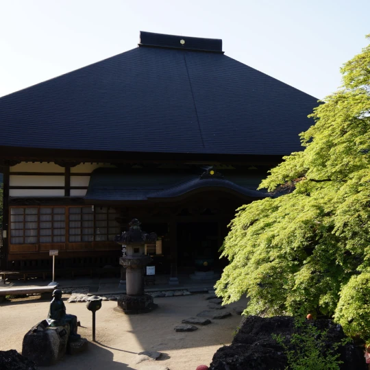 秩父札所第8番・清泰山西善寺の大きく枝を広げるコミネカエデを撮影した全景。参拝時に現地で撮影した新緑の木漏れ日