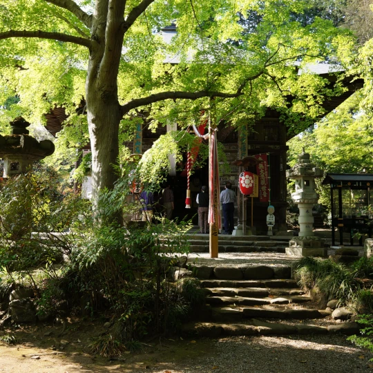 秩父札所第20番・法王山岩之上堂の観音堂を5月の新緑の中で撮影した全景。参拝時に現地で撮影した静かな境内の様子