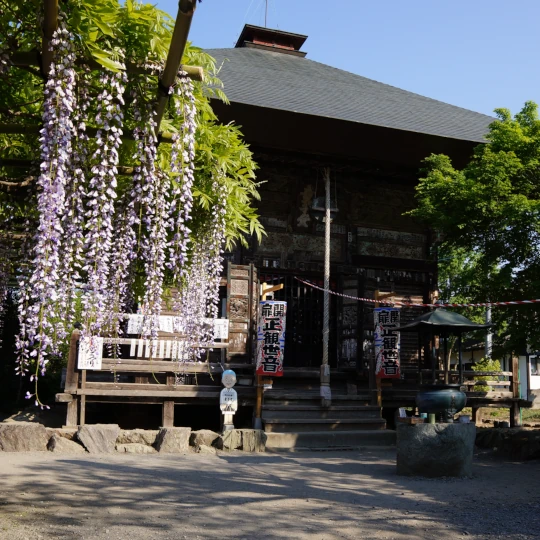 秩父札所第22番・華台山童子堂の観音堂と、境内に咲くフジの花を撮影した全景。参拝時に現地で撮影した静かな境内の春の様子