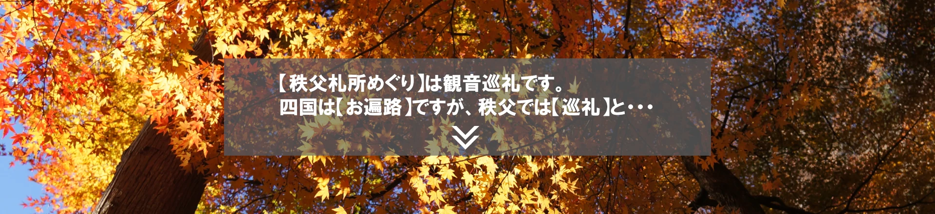秩父札所巡礼のイメージ画像