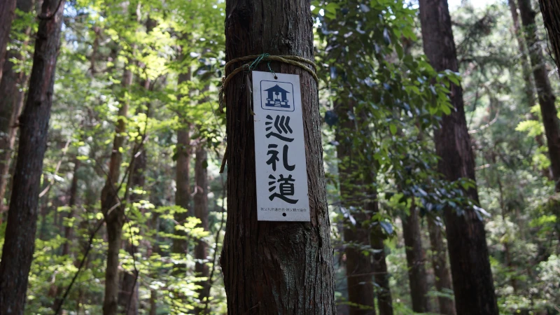 秩父札所のイメージ画像